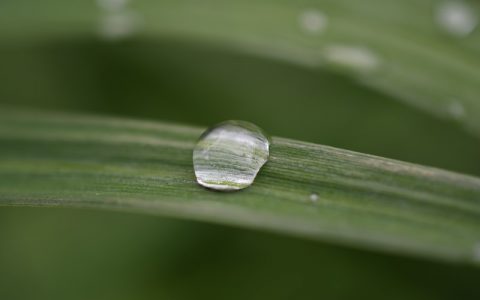 足球中的u14是什么意思,足球u系列比赛什么意思