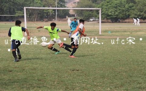 ufc直播免费观看网址,ufc宋亚东