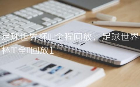 足球世界杯决赛全程回放,足球世界杯决赛全场回放