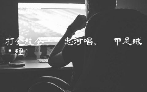 打金枝全剧刘忠河唱,德甲足球经理