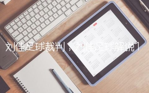 刘佳足球裁判,刘佳足球解说