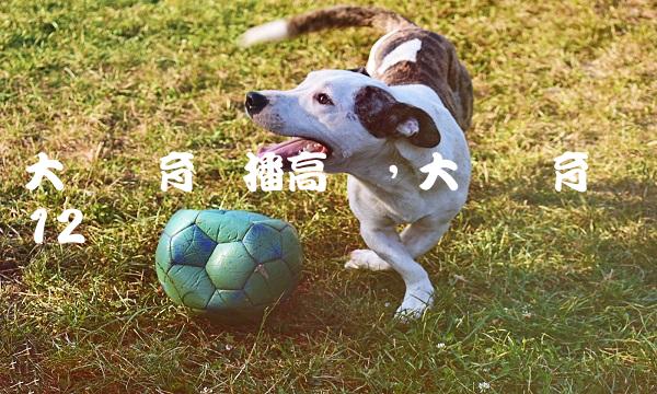 8309dc763c1da3f348a52f786a3eecf3