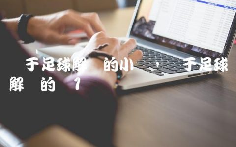 关于足球解说的小说,关于足球解说的书