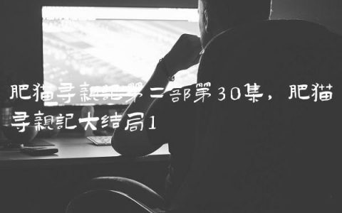 肥猫寻亲记第二部第30集,肥猫寻亲记大结局