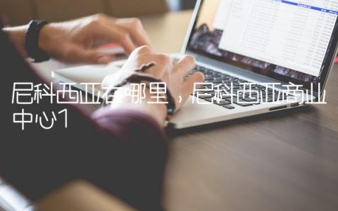 尼科西亚在哪里,尼科西亚商业中心