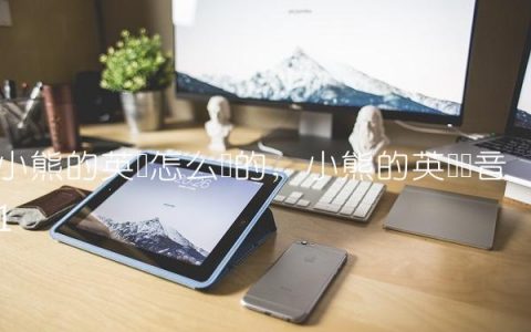 小熊的英语怎么写的,小熊的英语读音