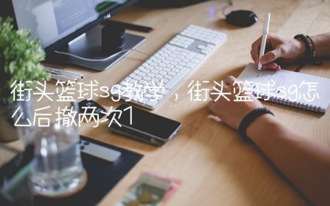 街头篮球sg教学,街头篮球sg怎么后撤两次