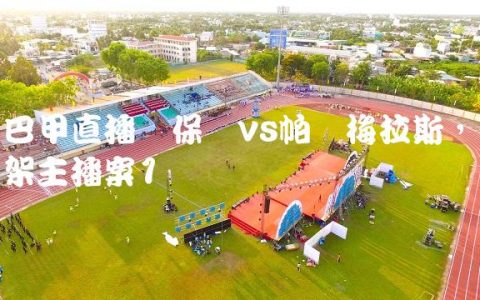 巴甲直播圣保罗vs帕尔梅拉斯,绑架主播案