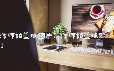 潘玮柏篮球图片,潘玮柏篮球歌