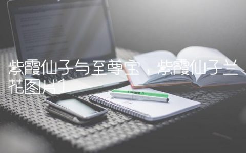 紫霞仙子与至尊宝,紫霞仙子兰花图片