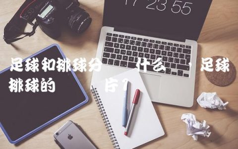 足球和排球分别长什么样,足球与排球的区别图片