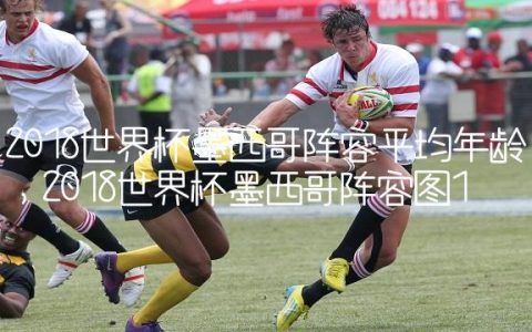 2018世界杯墨西哥阵容平均年龄,2018世界杯墨西哥阵容图