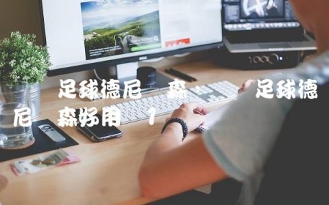 实况足球德尼尔森,实况足球德尼尔森好用吗