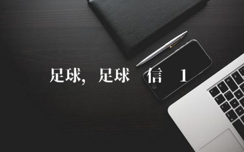 足球,足球刘信义