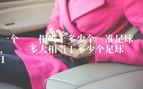一个鸟巢相当于多少个标准足球场,鸟巢多大相当于多少个足球场