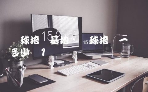篮球培训基地,篮球培训一节课多少钱