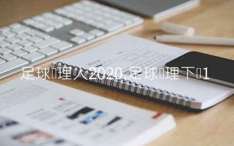 足球经理人2020,足球经理下载