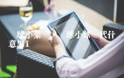 篮球小菜鸡,篮球小球时代什么意思