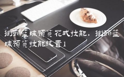 街头篮球预览花式技能,街头篮球预览技能设置