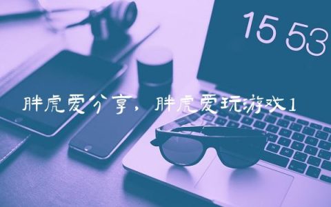 胖虎爱分享,胖虎爱玩游戏