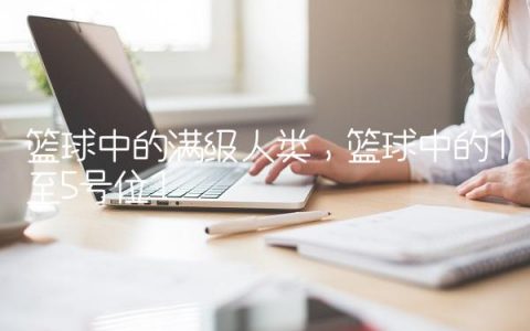 篮球中的满级人类,篮球中的1至5号位