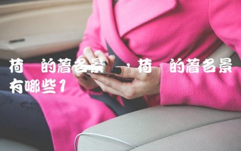 荷兰的著名景观,荷兰的著名景点有哪些