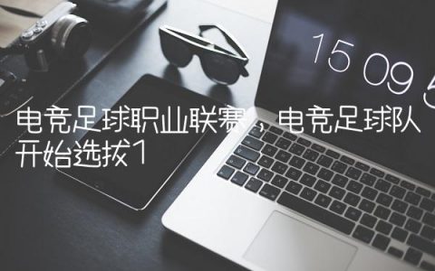 电竞足球职业联赛,电竞足球队开始选拔