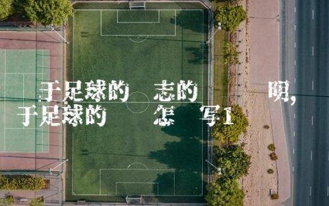 关于足球的标志的设计说明,关于足球的标语怎么写