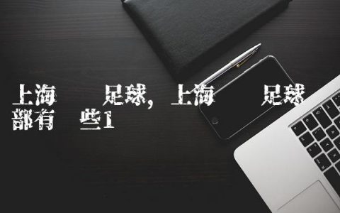 上海职业足球,上海职业足球俱乐部有哪些
