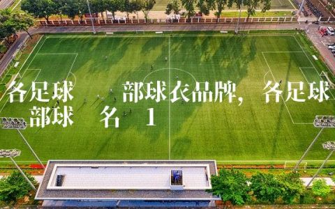 各足球俱乐部球衣品牌,各足球俱乐部球员名单