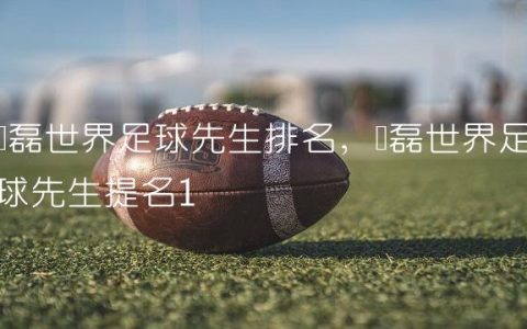 宫磊世界足球先生排名,宫磊世界足球先生提名