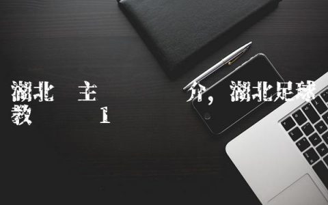 湖北队主帅赵鹏简介,湖北足球教练赵鹏