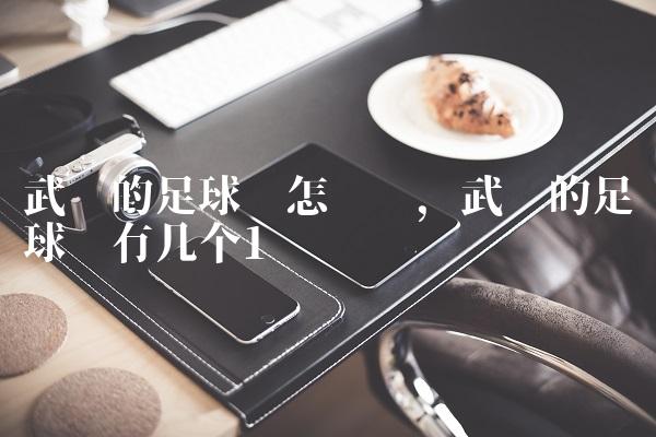 武汉的足球场怎么样,武汉的足球场有几个