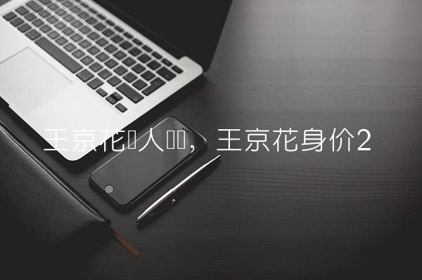 王京花个人简历,王京花身价