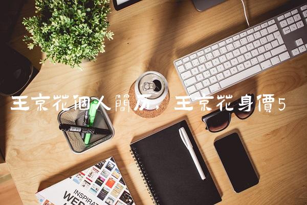 王京花个人简历,王京花身价