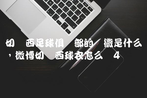 切尔西足球俱乐部的队徽是什么,微博切尔西球衣怎么买