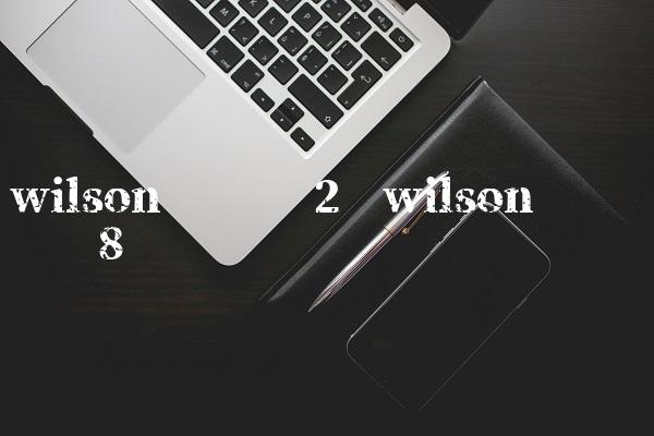 wilson网球拍评测,wilson官网旗舰店