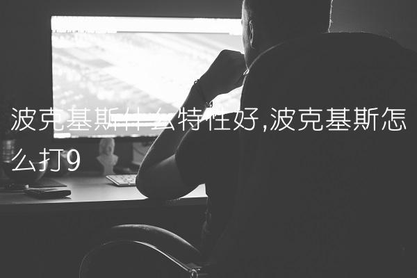 波克基斯什么特性好,波克基斯怎么打