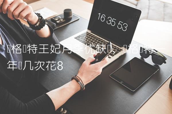 玛格丽特王妃月季优缺点,玛格丽特一年开几次花