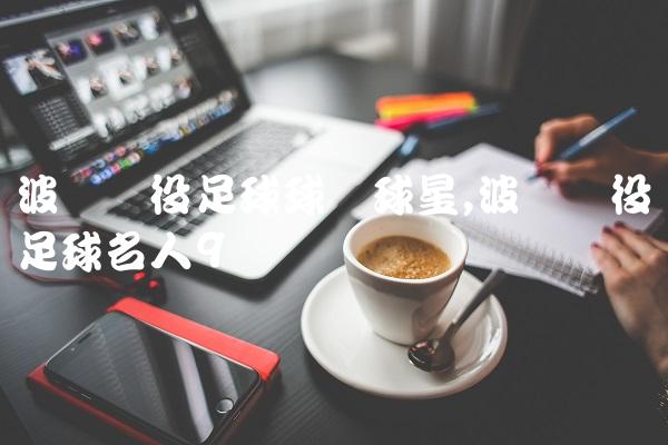 波兰现役足球球队球星,波兰现役足球名人
