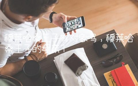 穆莱哈桑王子有对象吗,穆莱哈桑王子的母亲