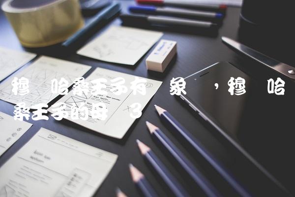 穆莱哈桑王子有对象吗,穆莱哈桑王子的母亲