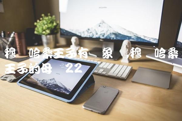 穆莱哈桑王子有对象吗,穆莱哈桑王子的母亲