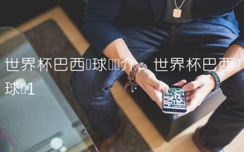 世界杯巴西队球员简介,世界杯巴西队球员