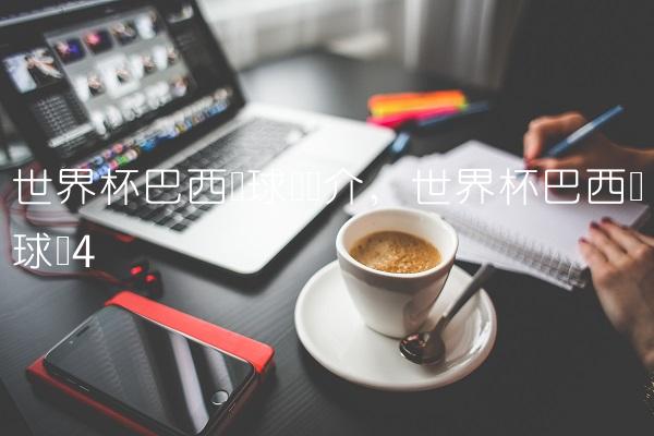 世界杯巴西队球员简介,世界杯巴西队球员