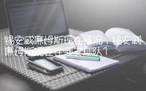 锡安威廉姆斯现在情况,锡安威廉姆斯现在在哪支球队