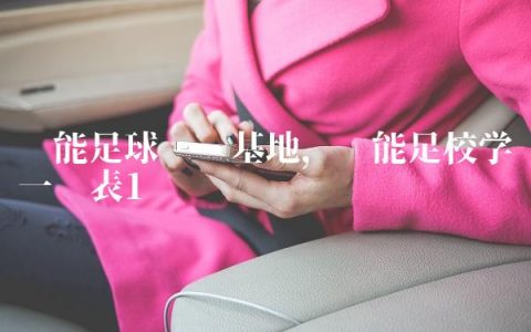 鲁能足球训练基地,鲁能足校学费一览表