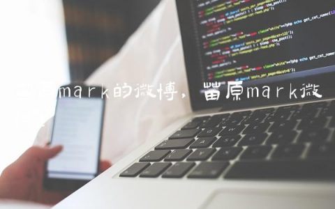 苗原mark的微博,苗原mark微博