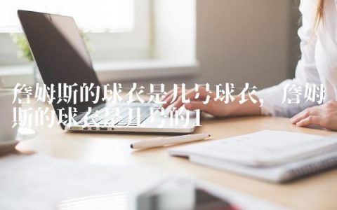 詹姆斯的球衣是几号球衣,詹姆斯的球衣是几号的