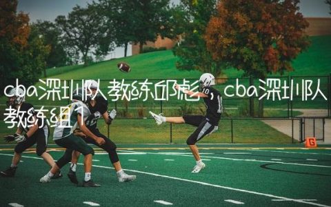 cba深圳队教练邱彪,cba深圳队教练组
